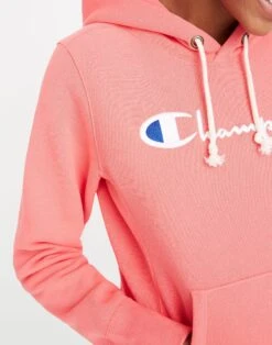 Madewell Champion® Reverse Weave® Pullover Hoodie Sweatshirt -Madewell Sales K6403 EB1058 d3