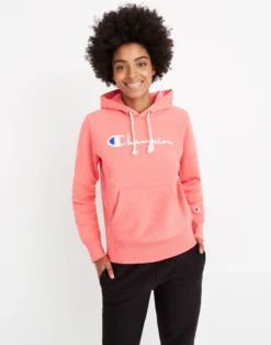 Madewell Champion® Reverse Weave® Pullover Hoodie Sweatshirt