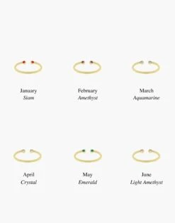 Madewell Katie Dean Jewelry™ 18k Gold-Plated Birthstone Ring -Madewell Sales N0808 ED2162 d3