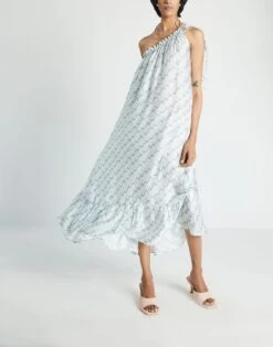Madewell Reistor Dancing In The Moonlight Dress -Madewell Sales N2374 BL7032 d4