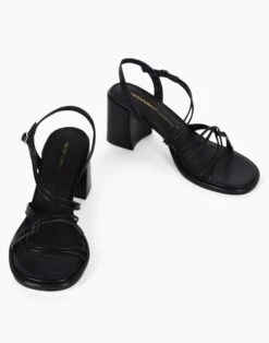 Madewell Intentionally Blank Zodiac