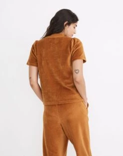Madewell Velour Corduroy Mockneck Top -Madewell Sales NG576 BR5188 d2